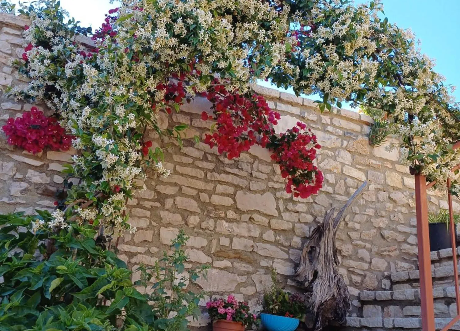 Villa Porta Qeparo 0*,